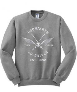 Hogwarts Quidditch sweatshirt