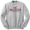 hollister california logo sweatshirt