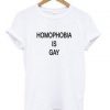 homophobia is gay T-shirt