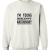 i'm young scrappy and hungry sweatshirt