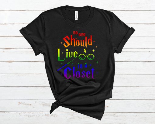 No one Should Live In a Closet T Shirt