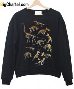 Dinosaur Skeleton Raglan Sweatshirt