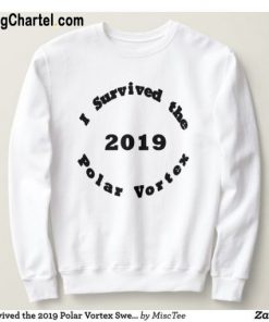 I Survived the 2019 Polar Vortex Sweatshirt