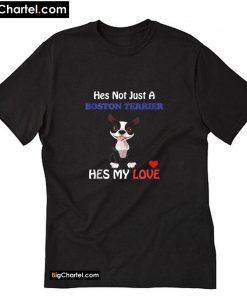 Hes Not Just A Boston Terrier Valentines Day Dog T-Shirt PU27