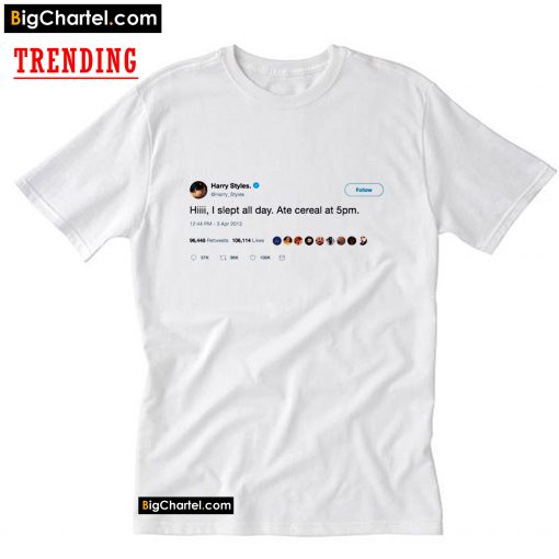 Harry Styles I Slept All Day Tweet T-Shirt PU27