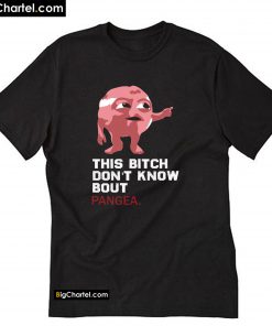 This Bitch Dont Know Bout Pangea T-Shirt PU27