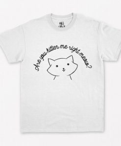 Are You Kitten Me Right MEOW T-Shirt PU27