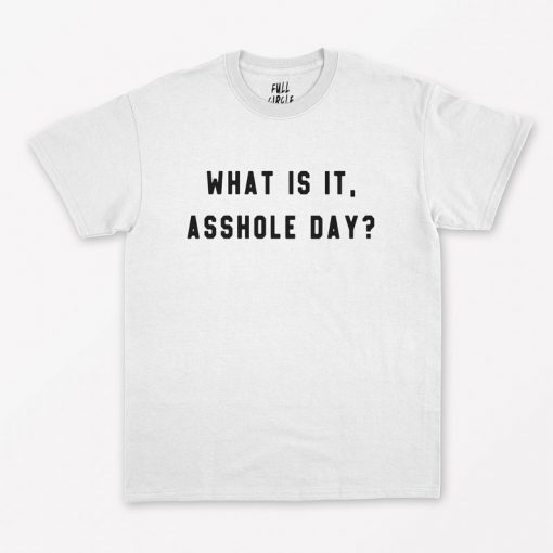 What is it Asshole day T-Shirt PU27