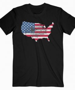 American Flag Eagle T-Shirt PU27