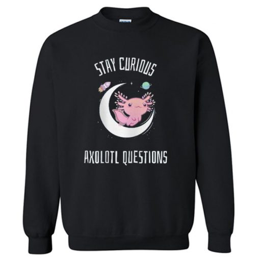 Stay Curious Sweatshirt PU27