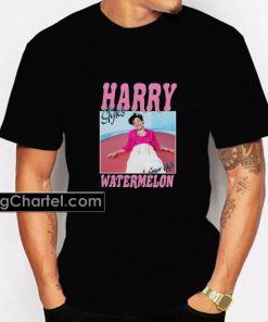 Harry Styles Unisex watermelon sugar high T-shirt PU27