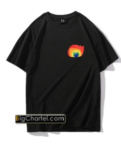 Rainbow cats T-Shirt PU27